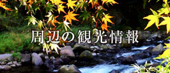 菊池市観光情報